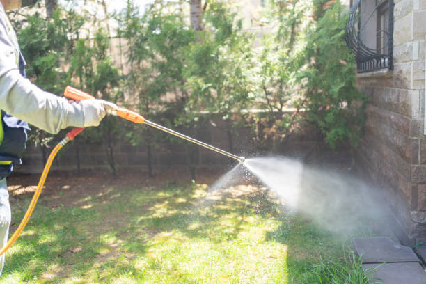 Best Mosquito Control  in Rockport, IN